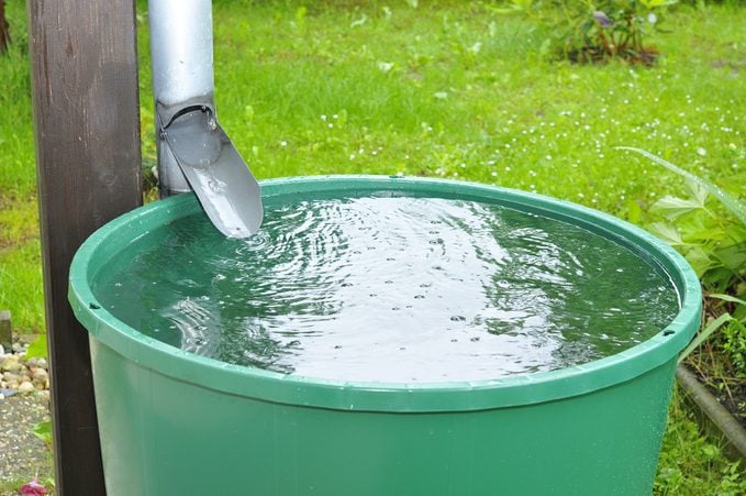 Esővíz hasznosítása ősszel – miért érdemes összekötni az öntözőrendszerrel?